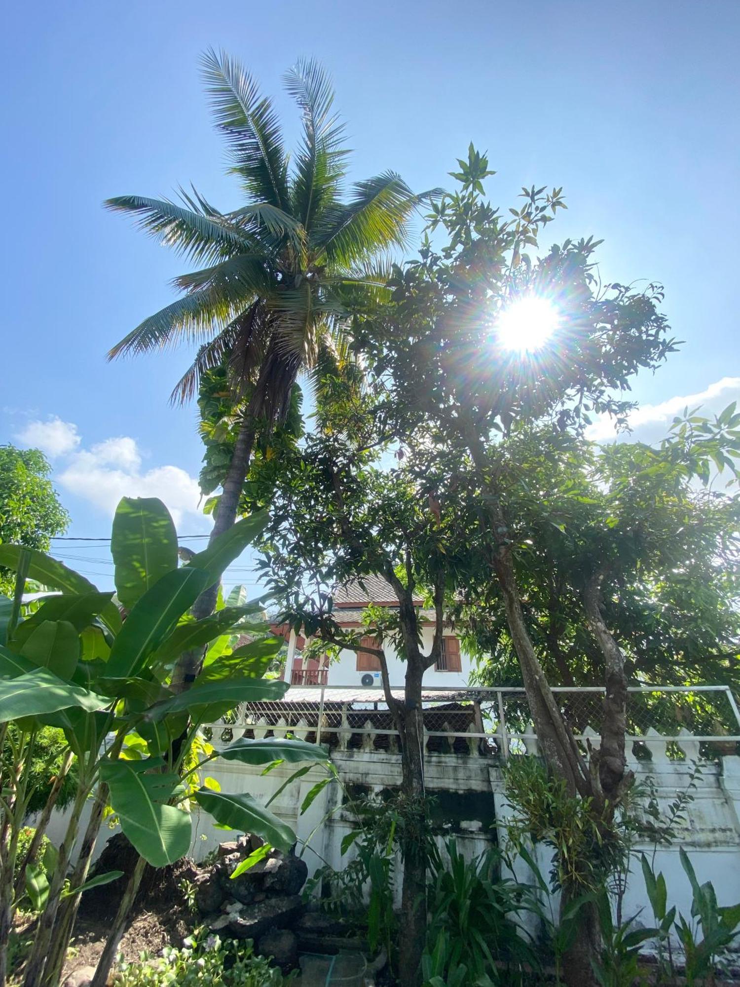 Luang Prabang Residence & Travel Экстерьер фото