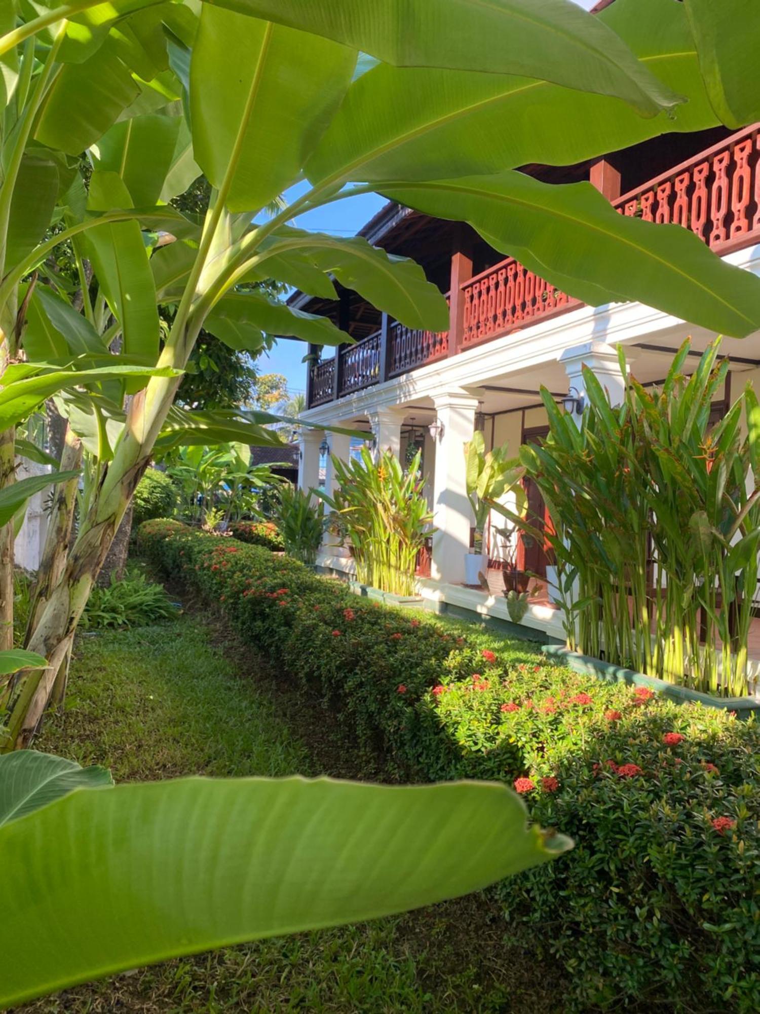 Luang Prabang Residence & Travel Экстерьер фото